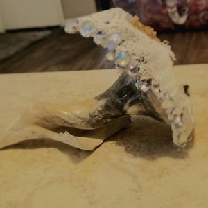 Bedazzled Beach Seashell